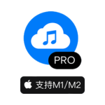 4K YouTube to MP3 pro for Mac(音频提取软件) v4.9.2中文破解版